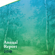 Annual Reports & Audited Accounts image